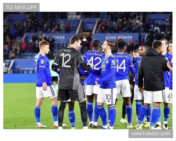 埃弗顿本赛季表现稳健，竞争力增强趋势清晰